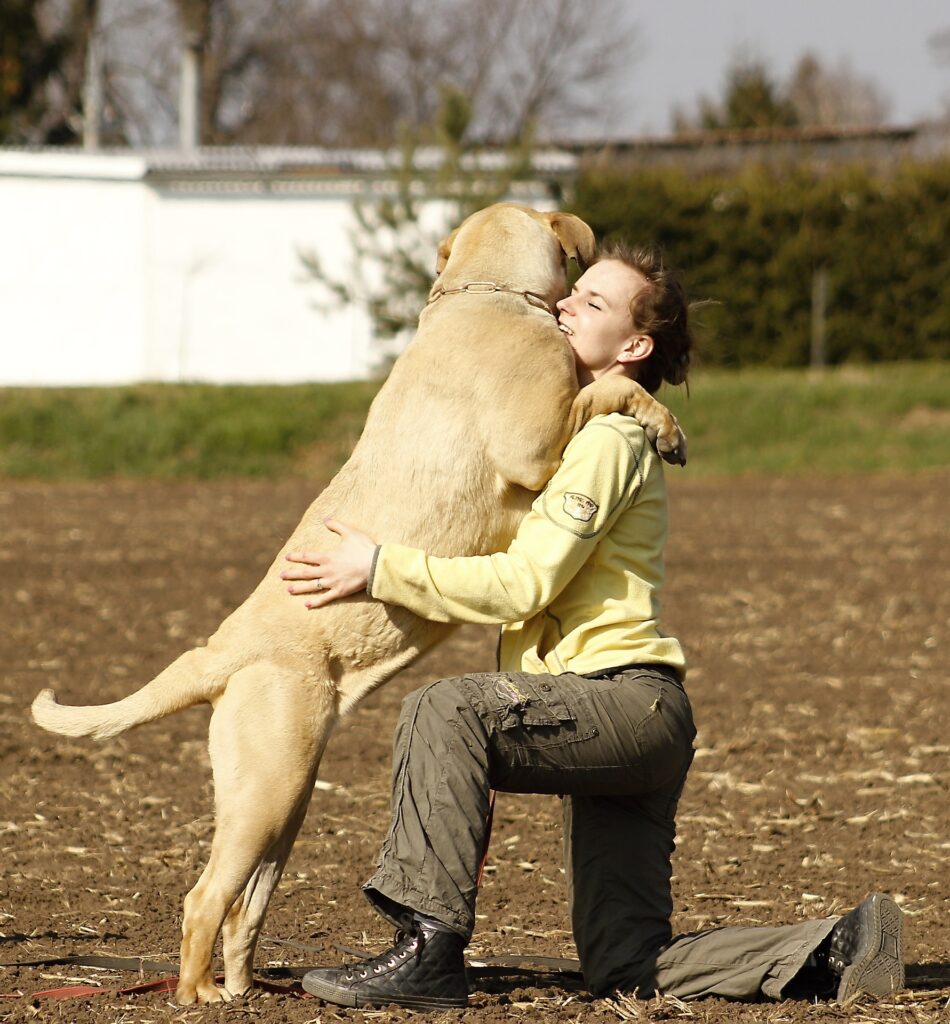 Happy Dog